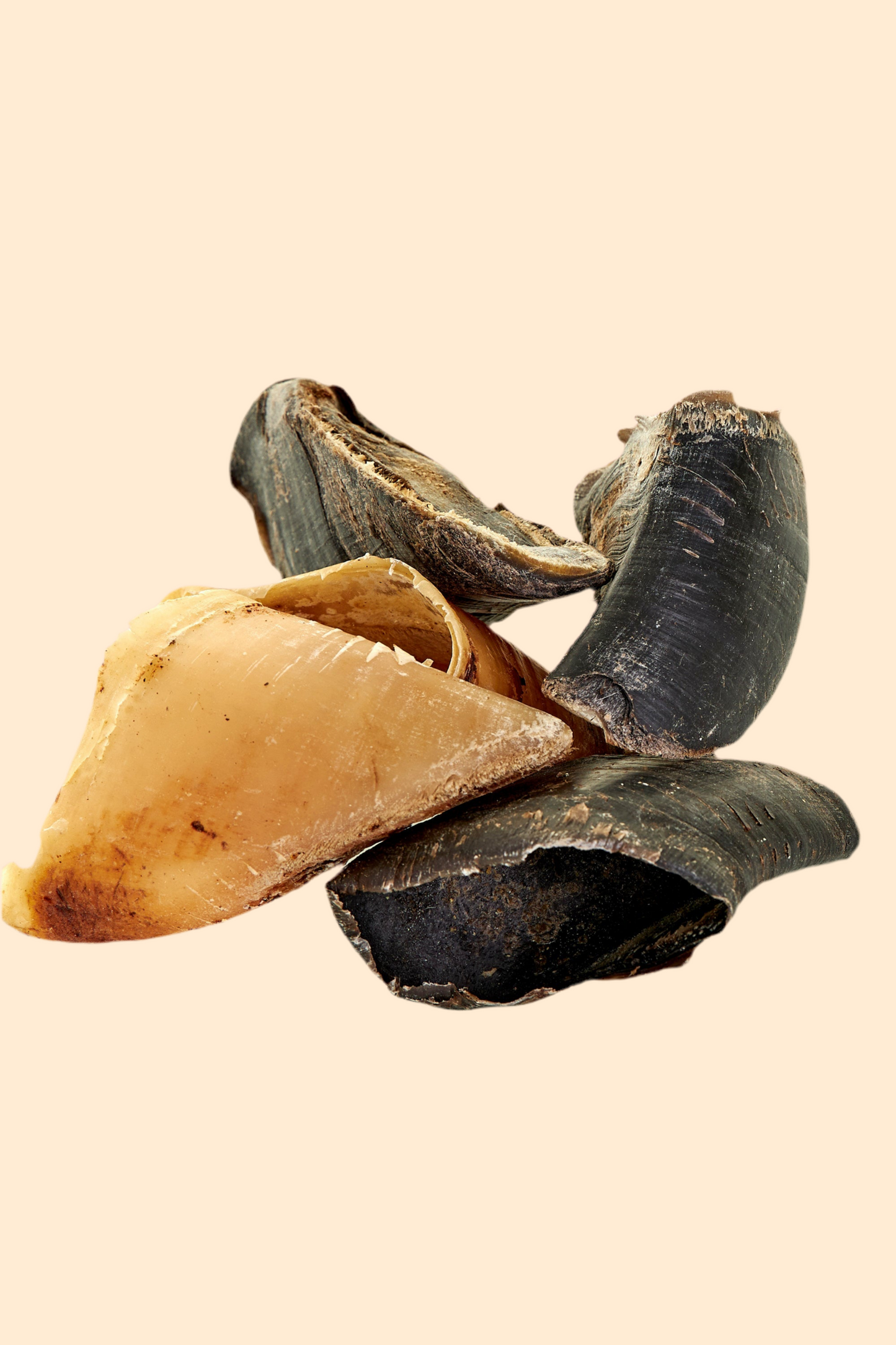 Cow Hoof š®