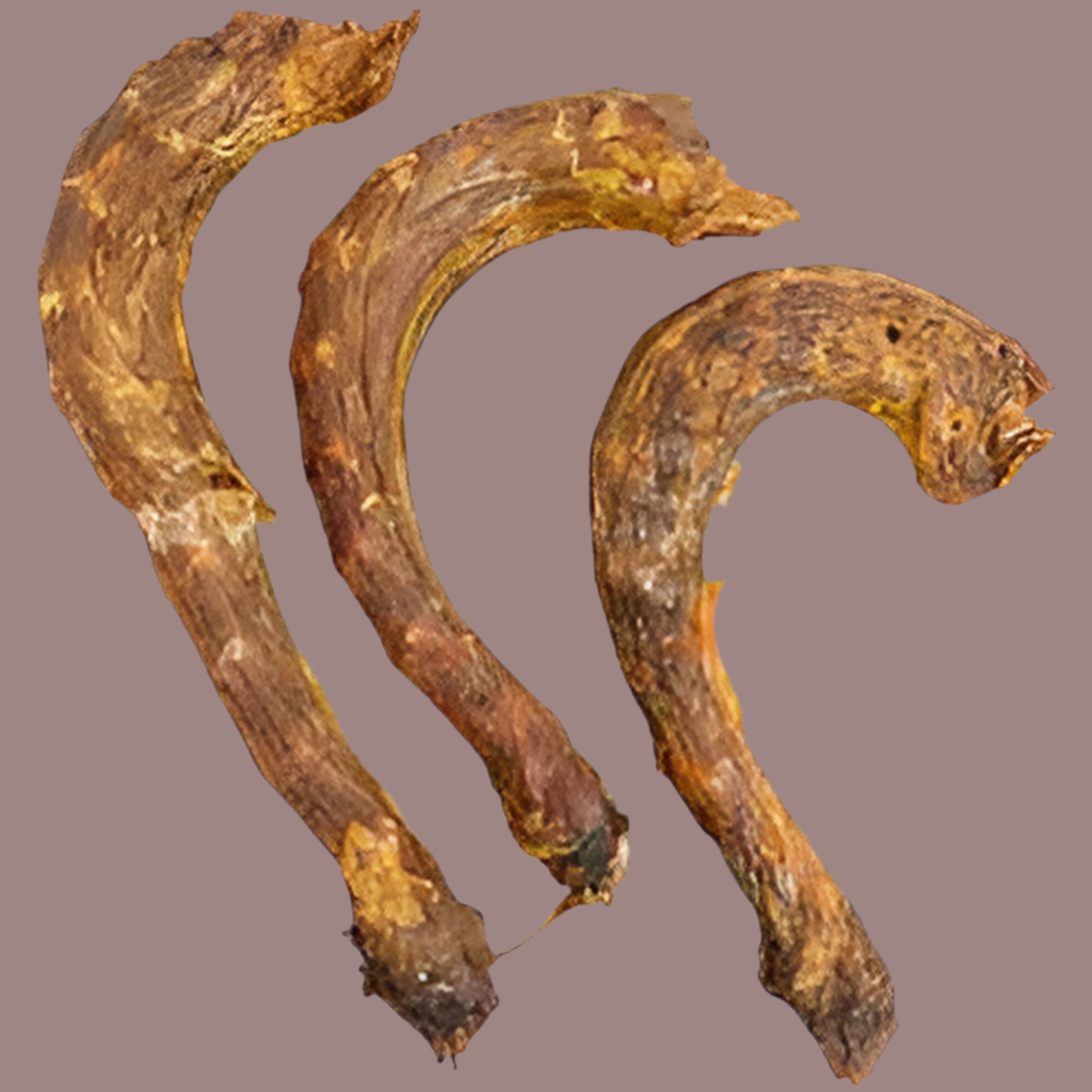 Turkey Necks