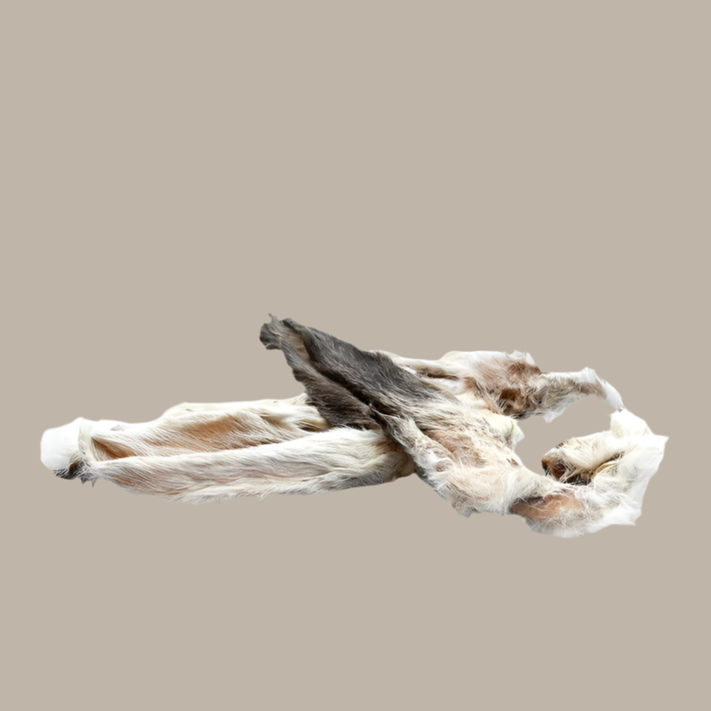Hairy Rabbit Ear š°