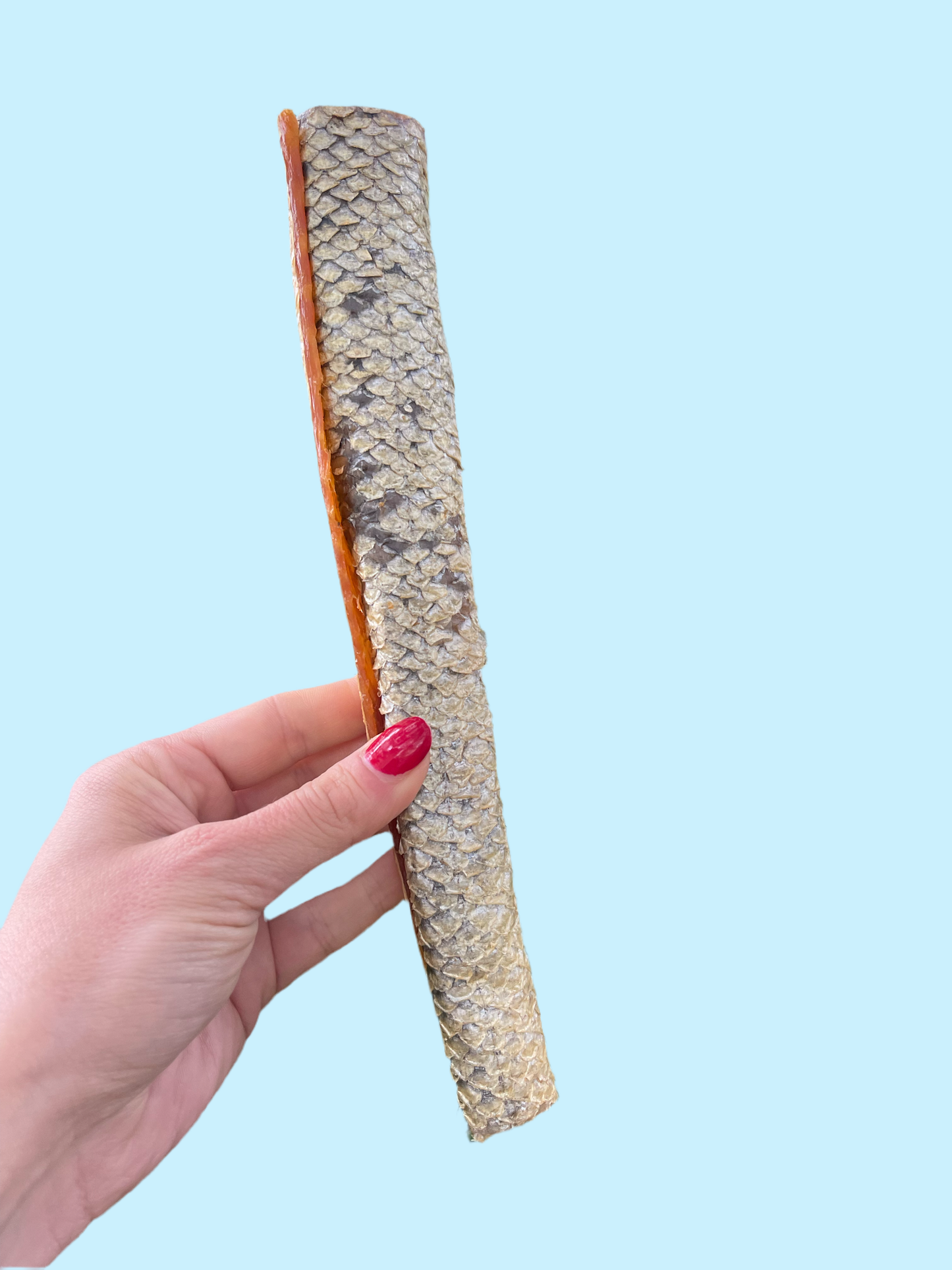 Salmon Skin Rolls š