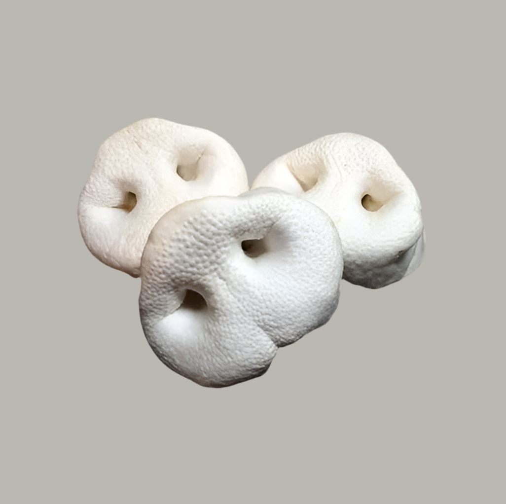Puffed Pig Snouts š½