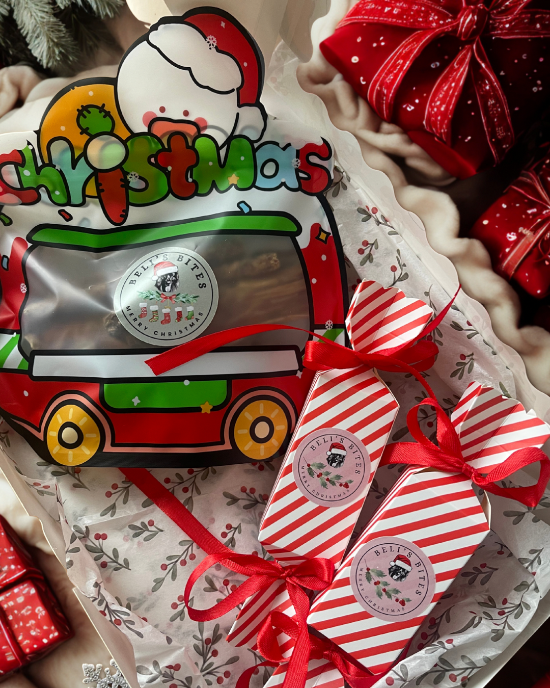 ✨Santa Paws’ Snackcident Box✨