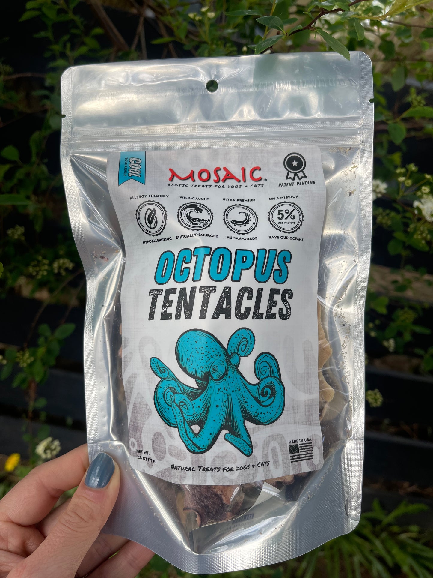 Freeze-Dried Wild Octopus Tentacles 🐙