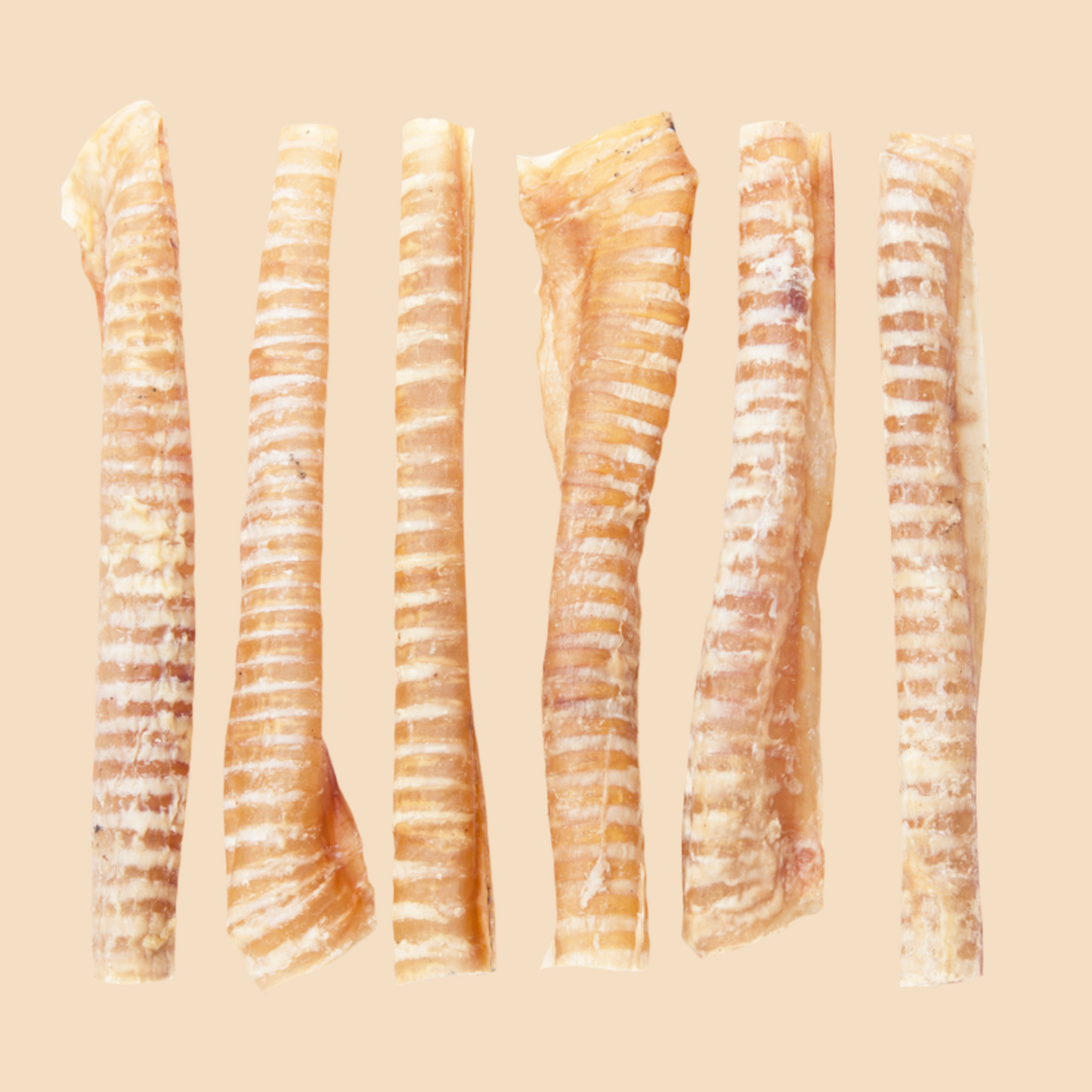 Beef Trachea š