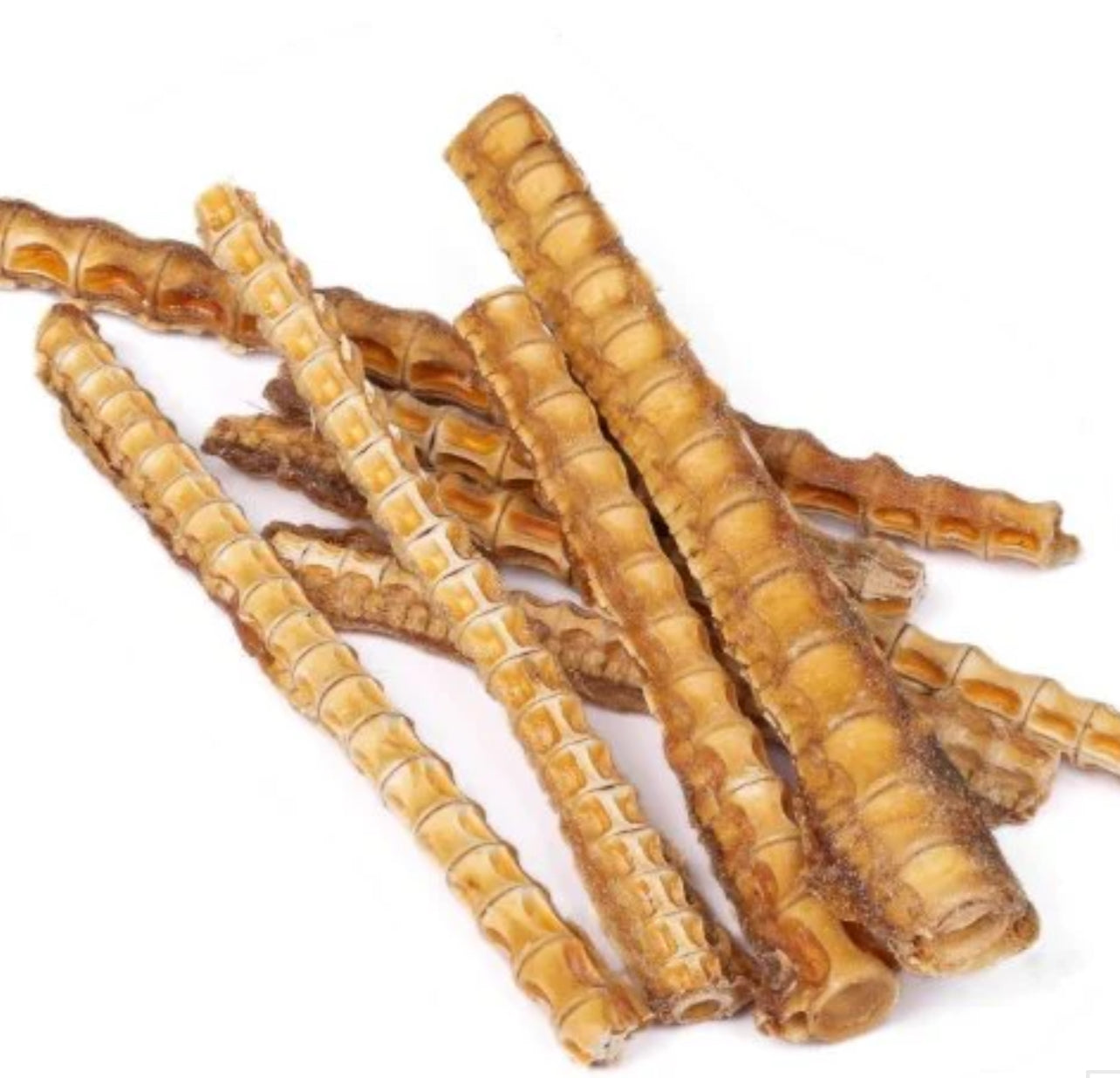 Barkly-Shark Cartilage