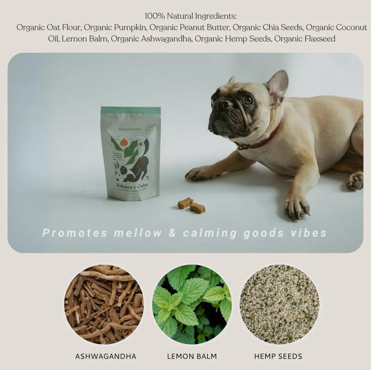 Botanical Bones - Balance + Calm 🧘🏻♀️🌱