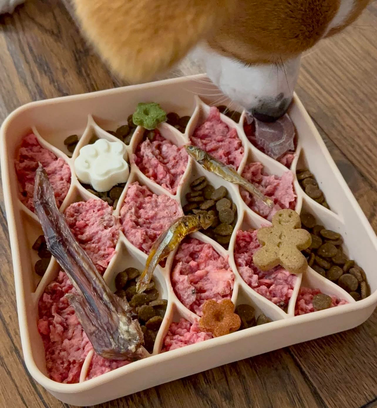 dogged - Argyle Slow Feeder Bowl - Buttercream