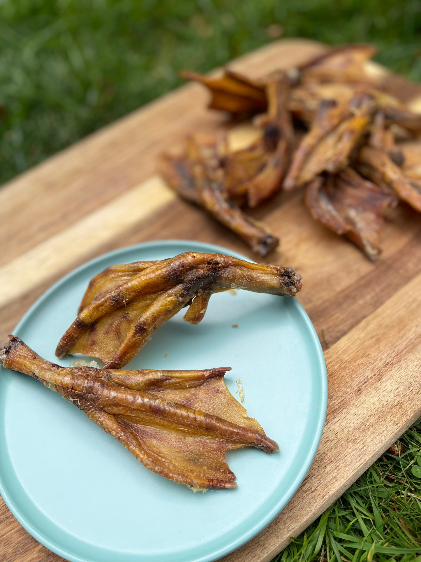 Duck Feet