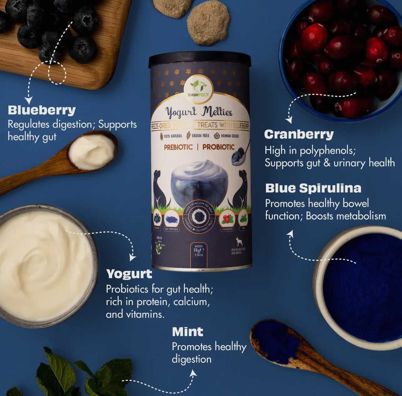 Yogurt Melties With Blueberries, Blue Spirulina, Cranberries & Mint