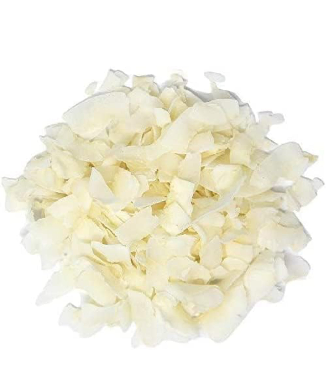 Organic Coconut Chips