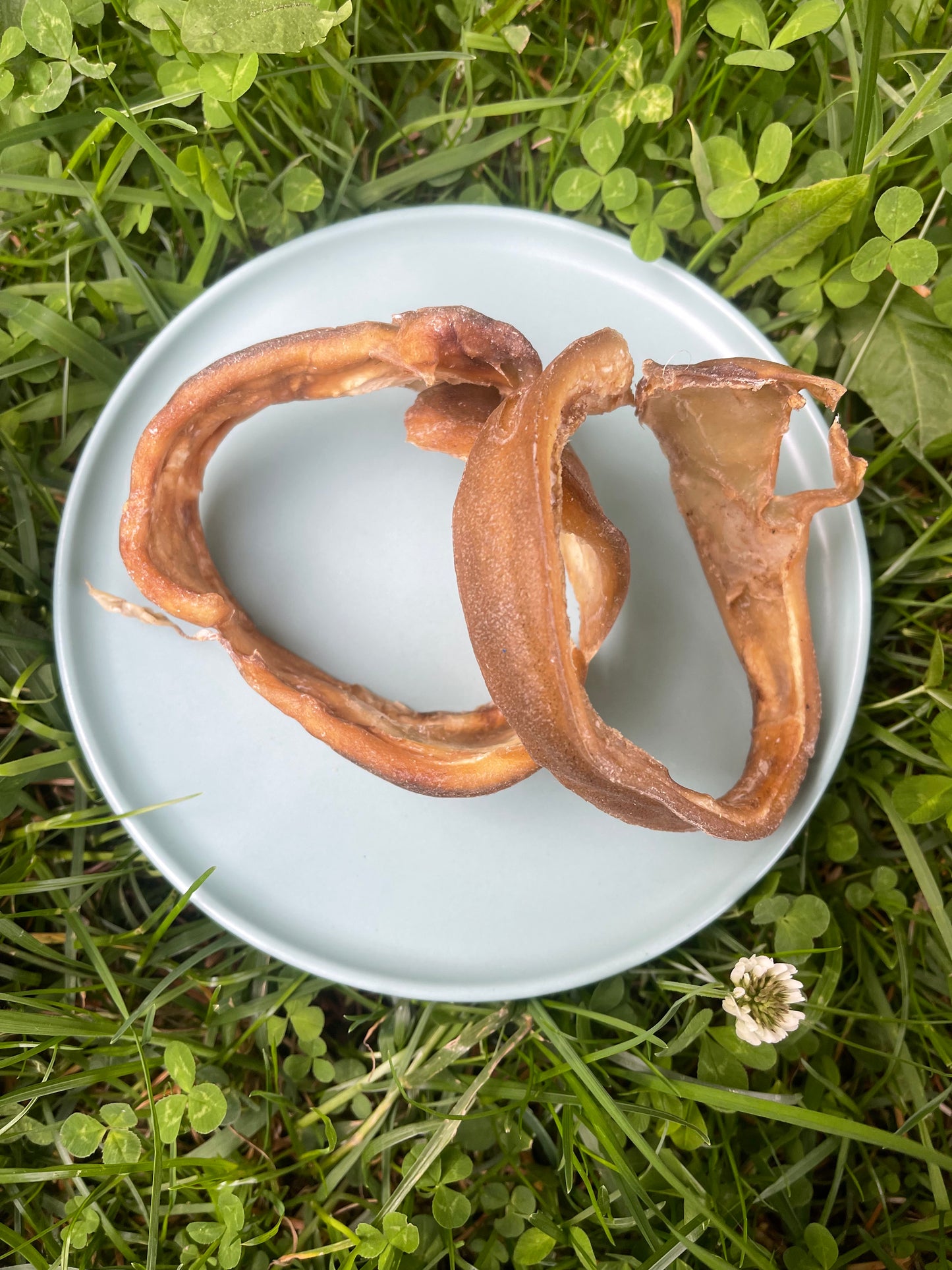 Beef Collagen Ring