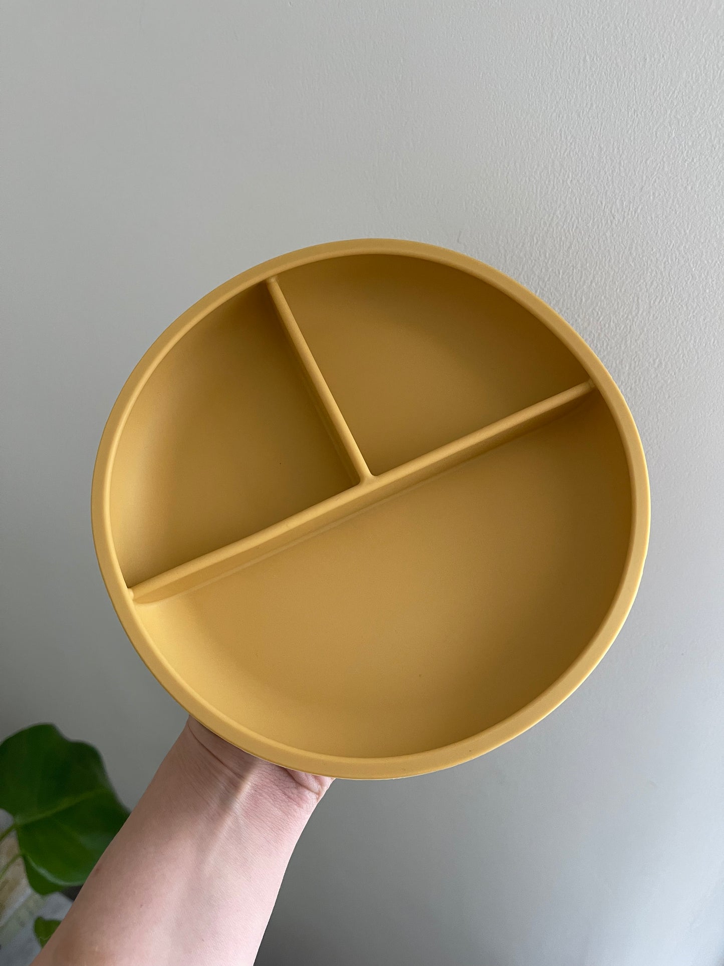 Silicone Bento Bowl