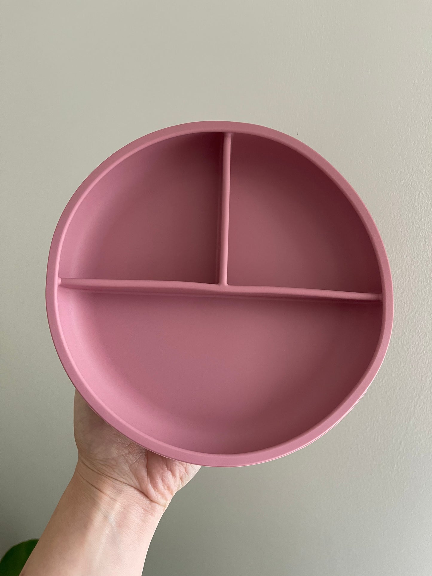 Silicone Bento Bowl