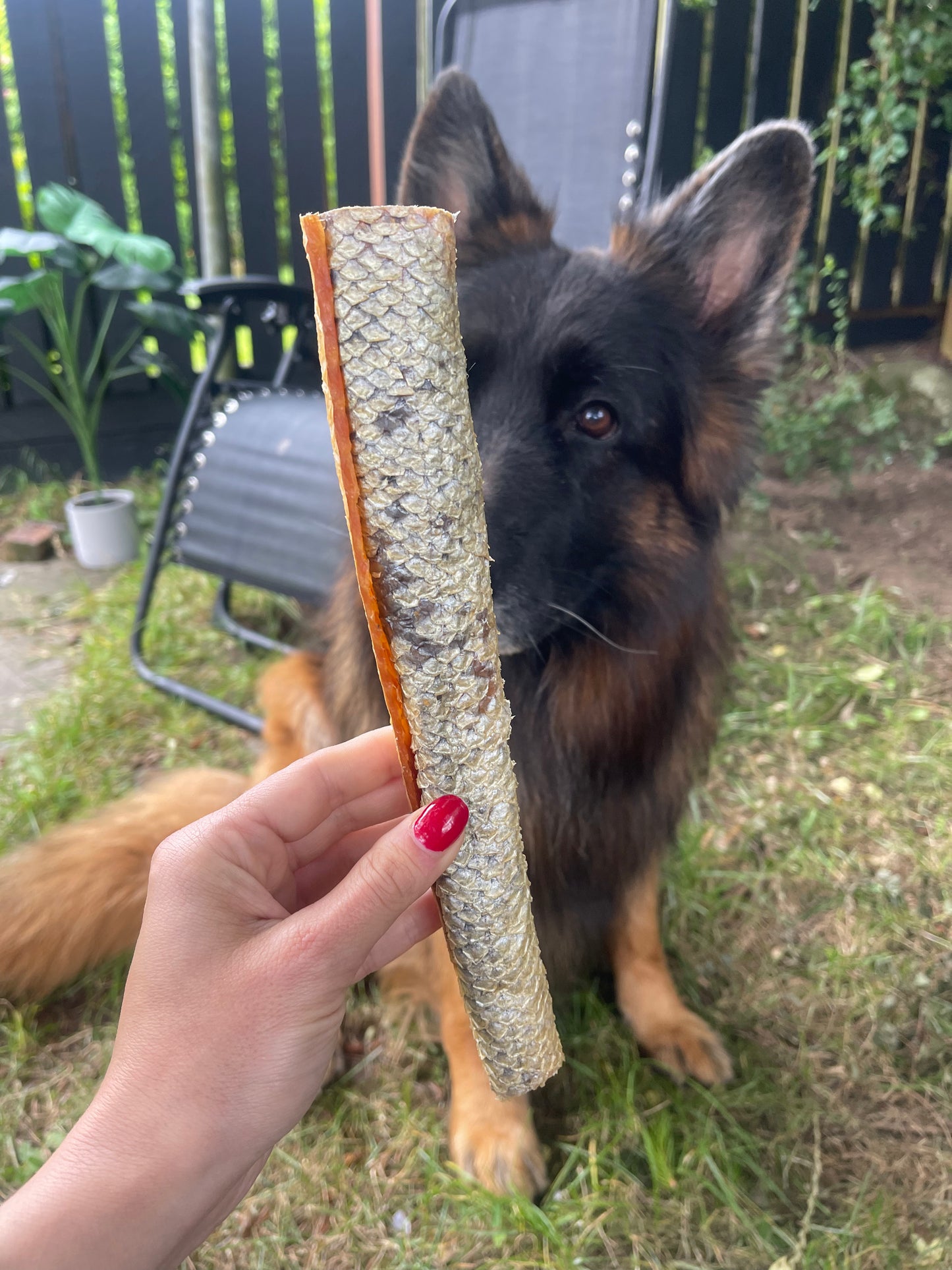 Salmon Skin Rolls š