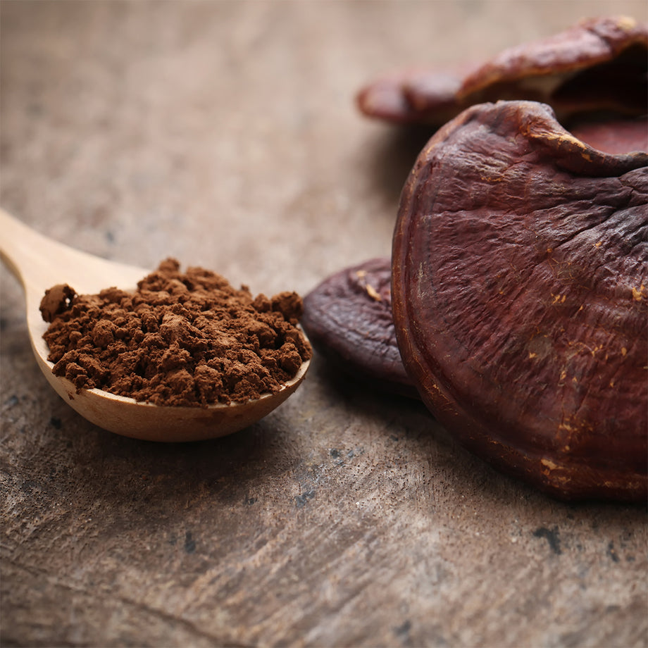Organic Shiitake Mushroom Powder for Dogs 🍄🟫