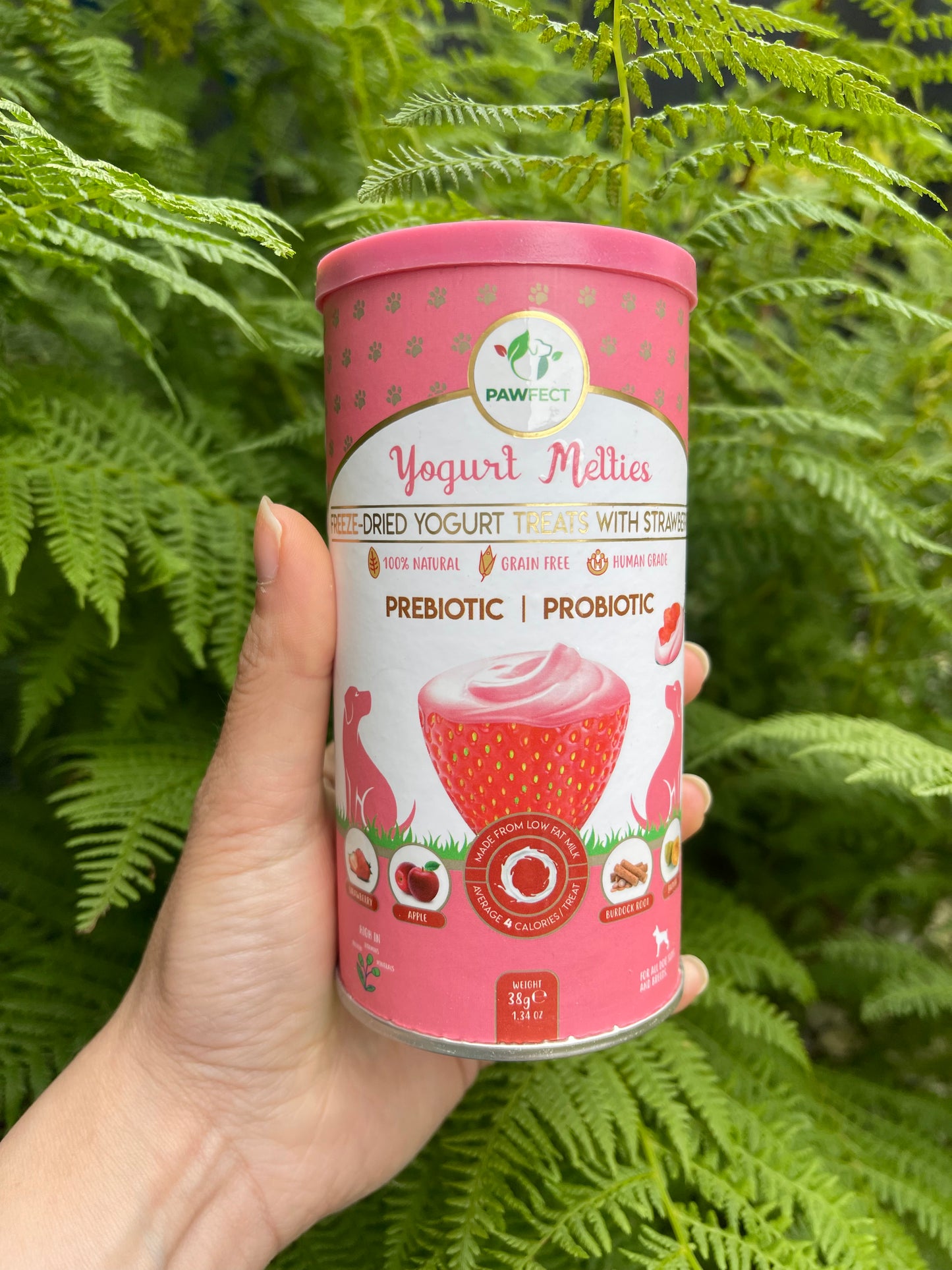 Yogurt Melties With Strawberries, Apple, Burdock Root & Papaya