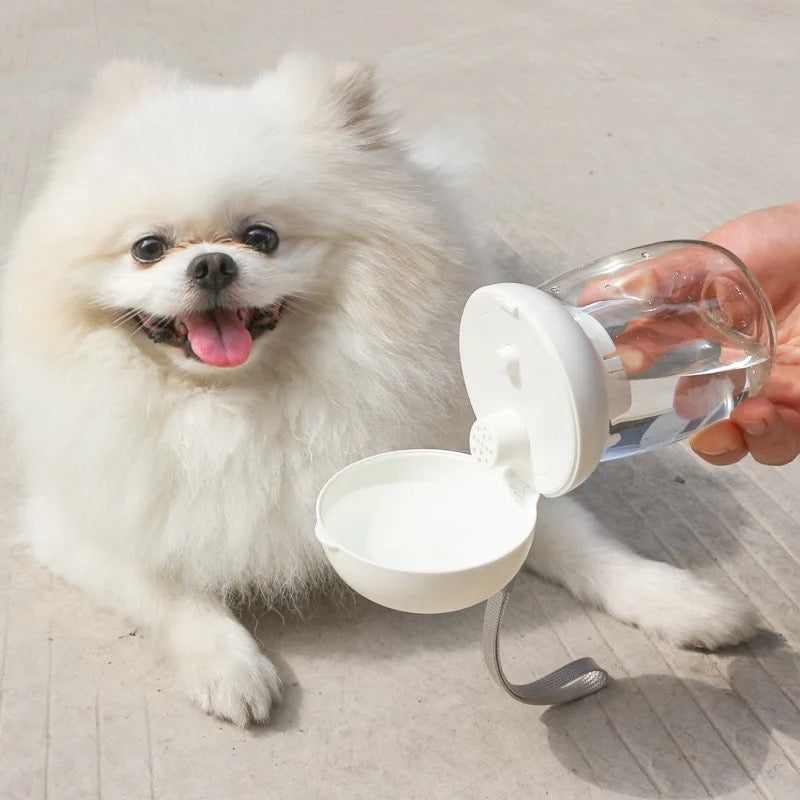 Portable Pet Water Bottle (pink 🎀)