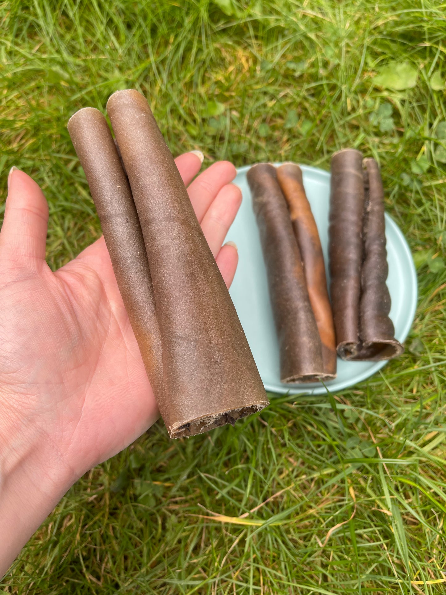 Camel Rolls š« (medium)