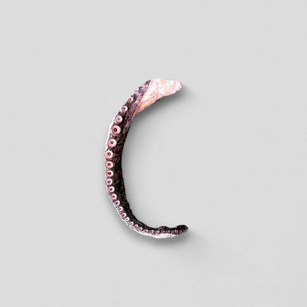 Freeze-Dried Wild Octopus Tentacles 🐙