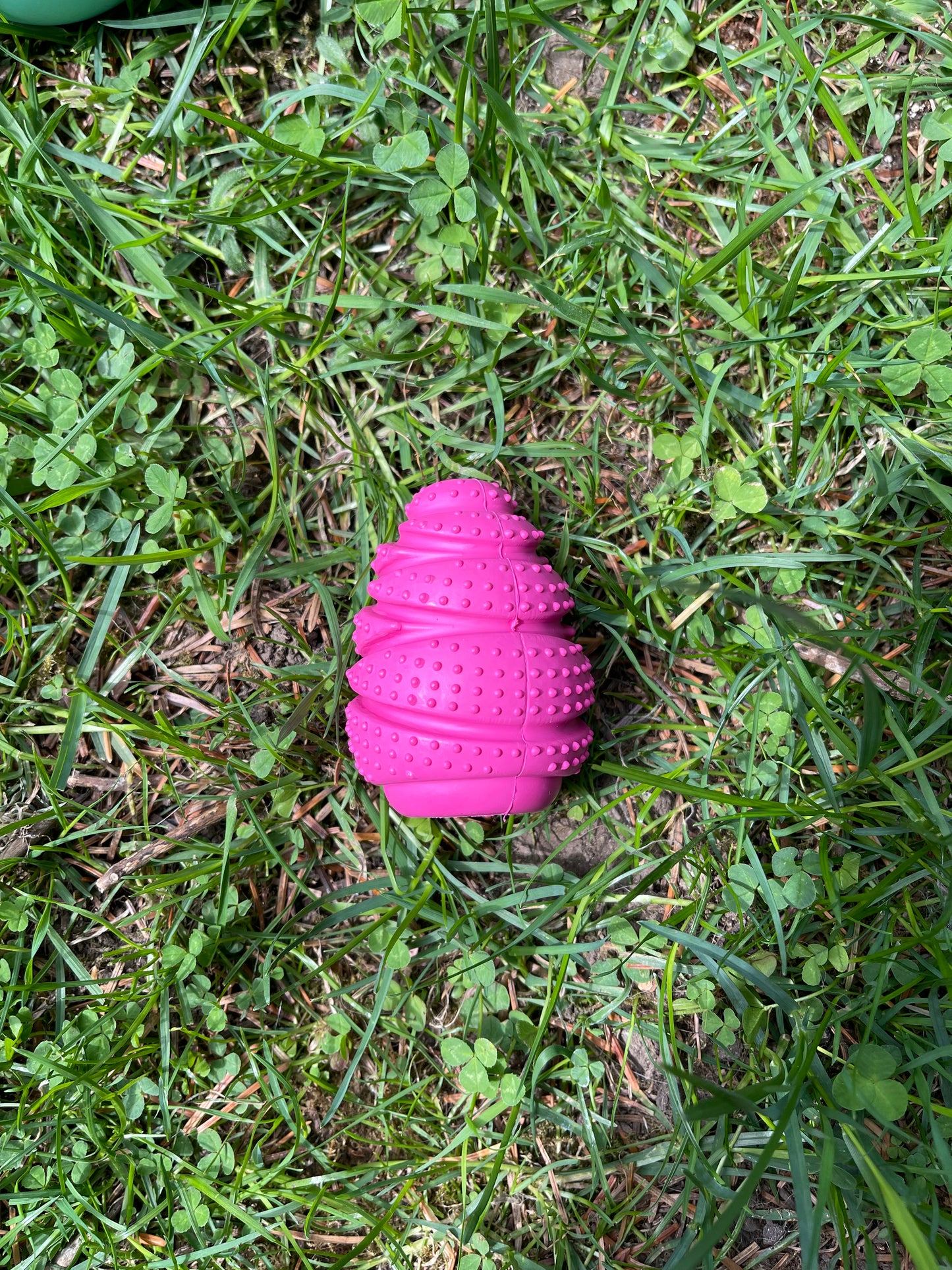 Small Enrichment Toy