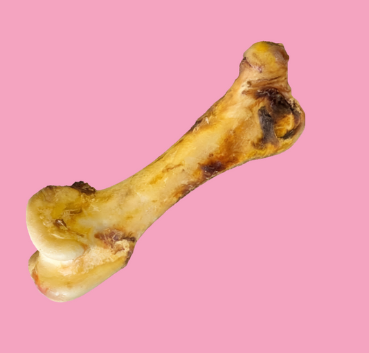 Ostrich Dino Bone 🦴