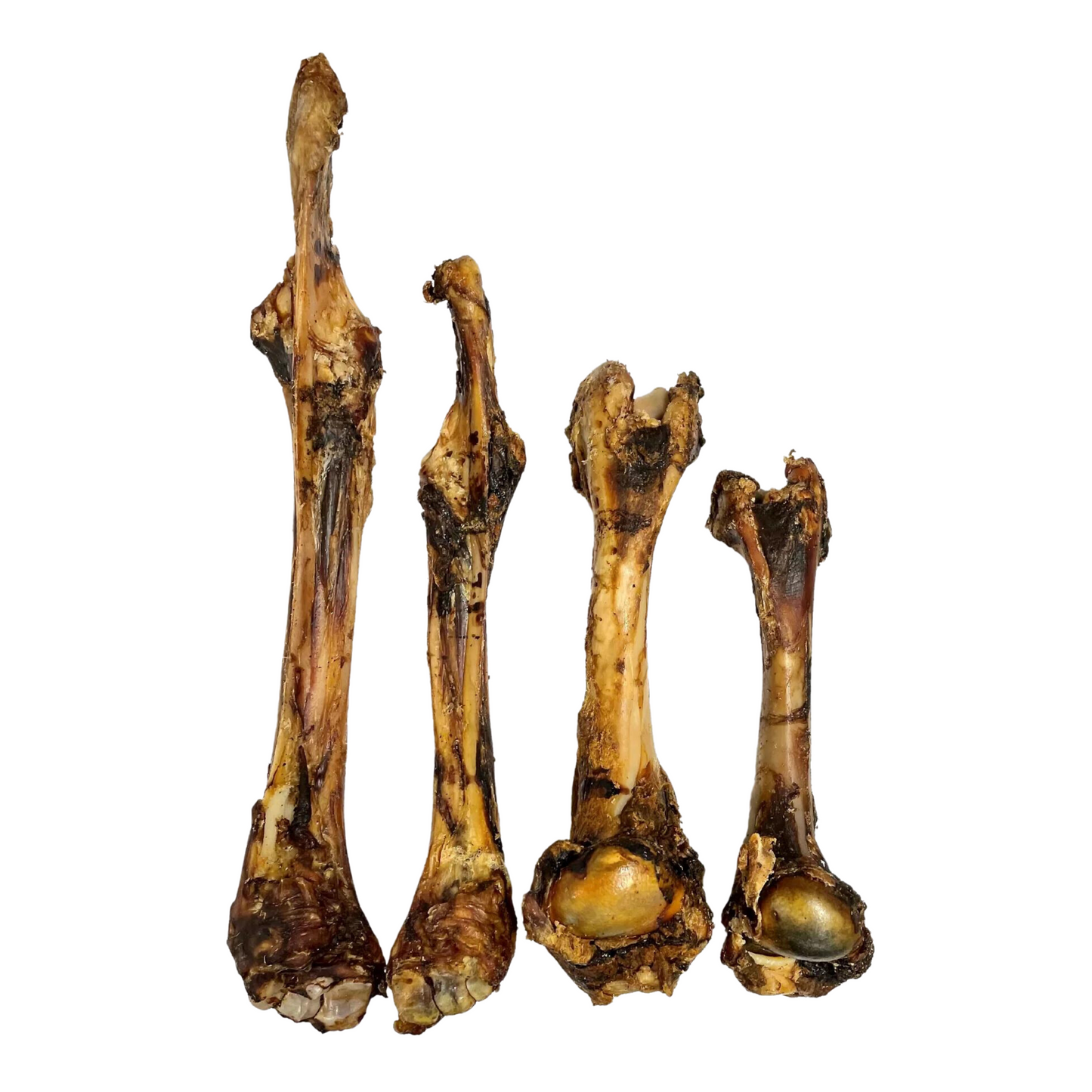Venison Bone (Large) 🦌