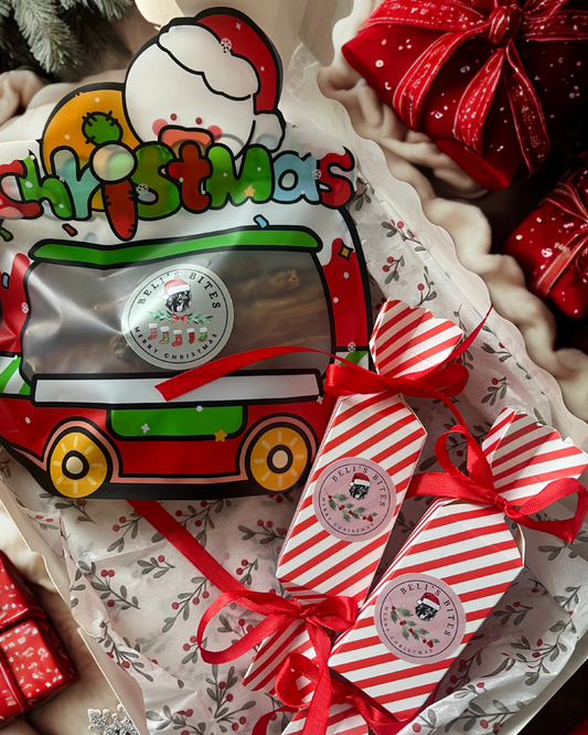 ✨Santa Paws’ Snackcident Box✨