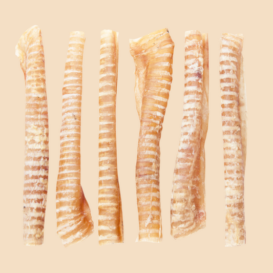 Beef Trachea 🐄