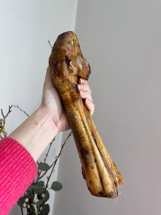 Horse Foot Bone with Tendon Jerky