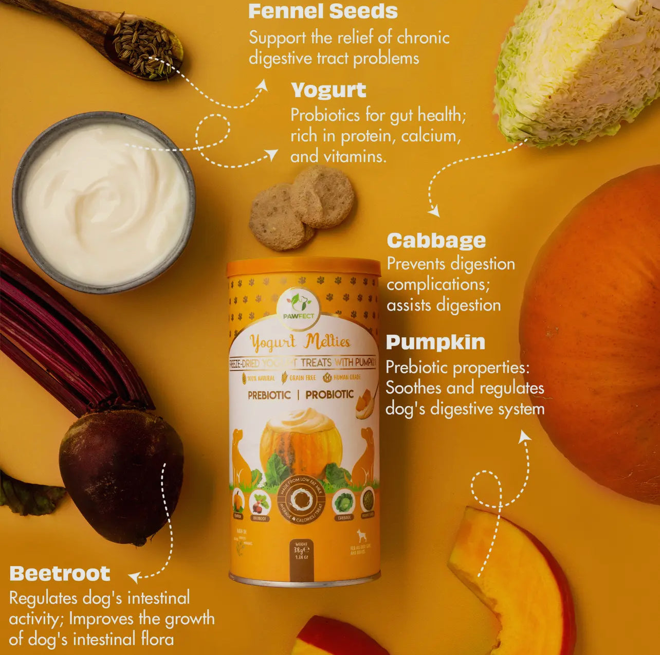 Yogurt Melties Prebiotic and Probiotic Dog Treats: Pumpkin,Cabbage,Beetroot & Fennel Seeds