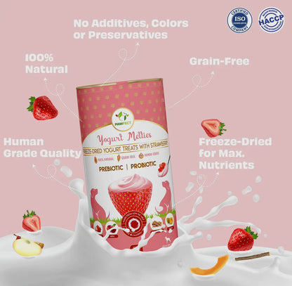 Yogurt Melties With Strawberries, Apple, Burdock Root & Papaya