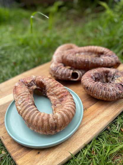 Trachea Donut