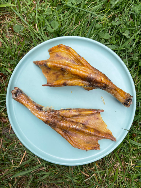 Duck Feet