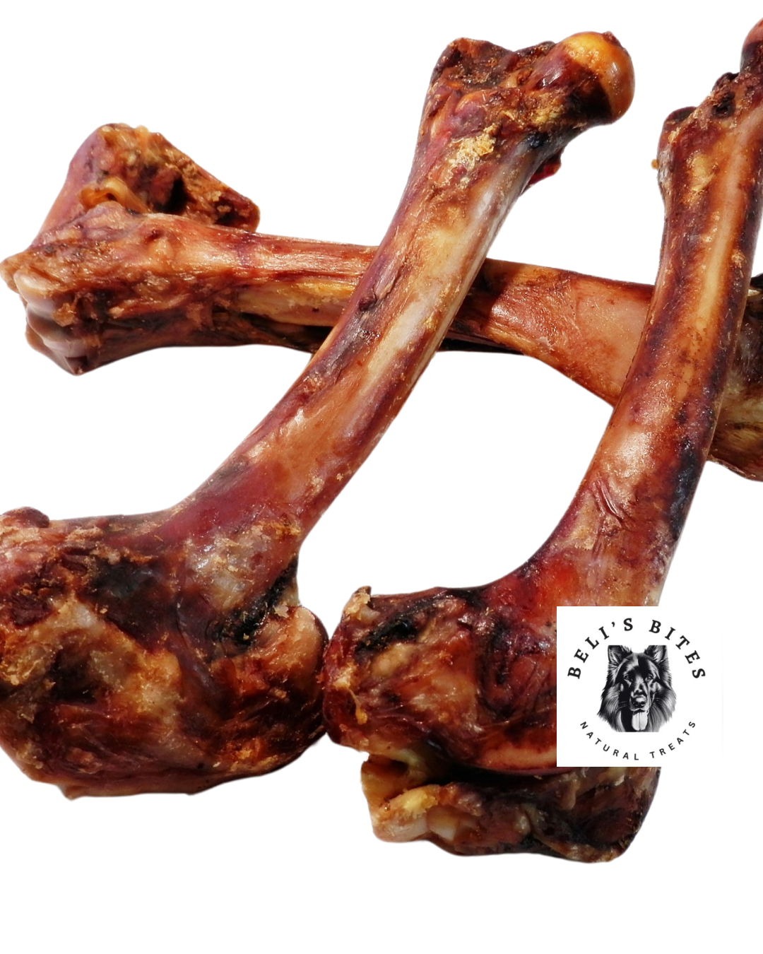 Wild Boar Shoulder Bone (large)