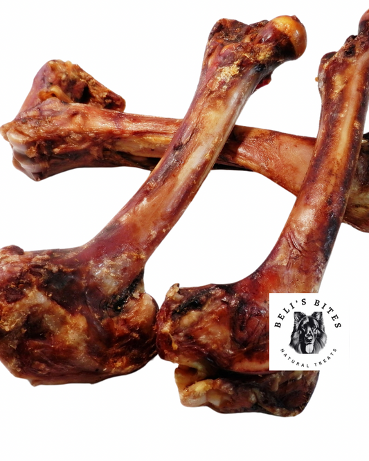 Wild Boar Shoulder Bone (large)