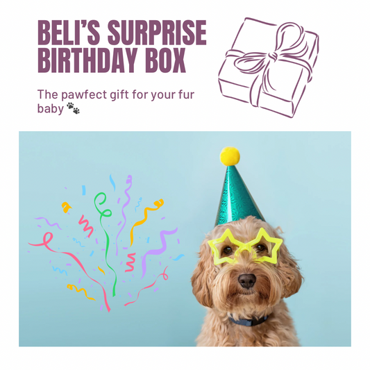 Surprise Birthday Boxes