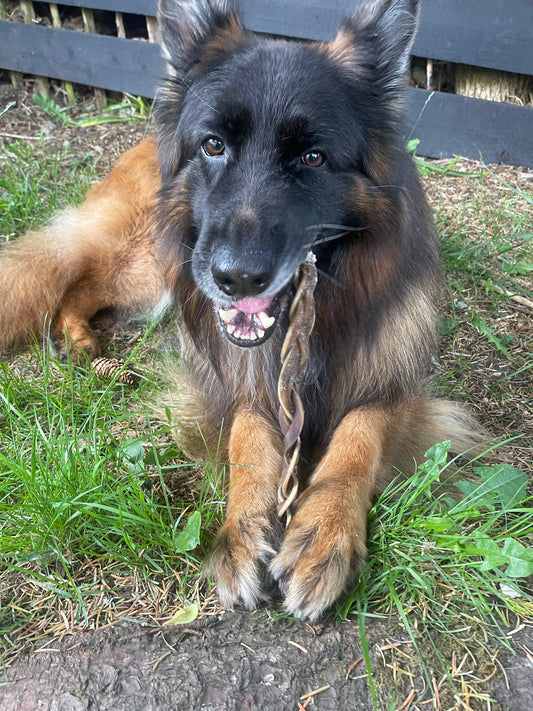 Camel Skin Braids (medium)
