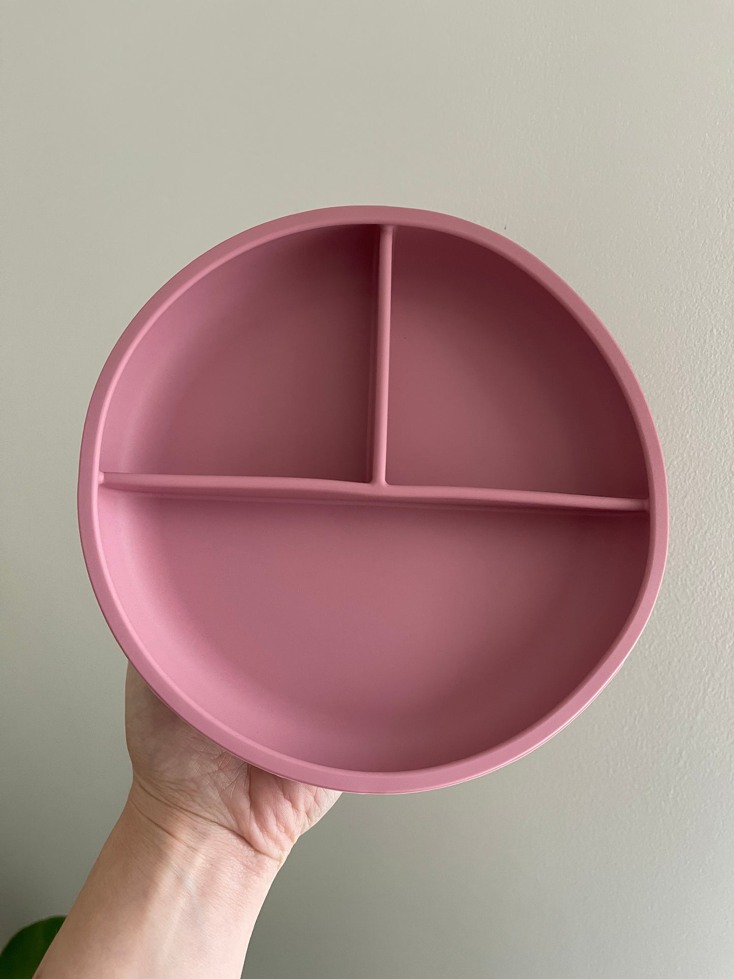 Silicone Bowl