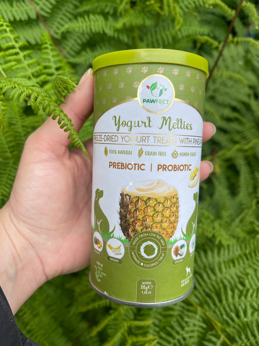 Yogurt Melties Prebiotic and Probiotic Dog Treats: Pineapple & Yogurt
