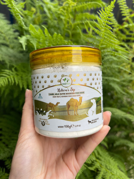 Nature's Sip for Dogs: 100% Camel Milk