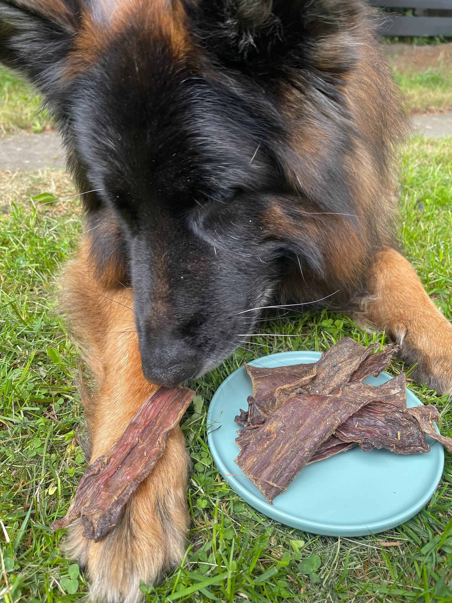 Crocodile Meat Chews (pack of 2)