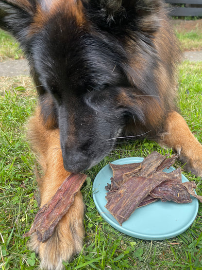Crocodile Meat Chews (pack of 2)