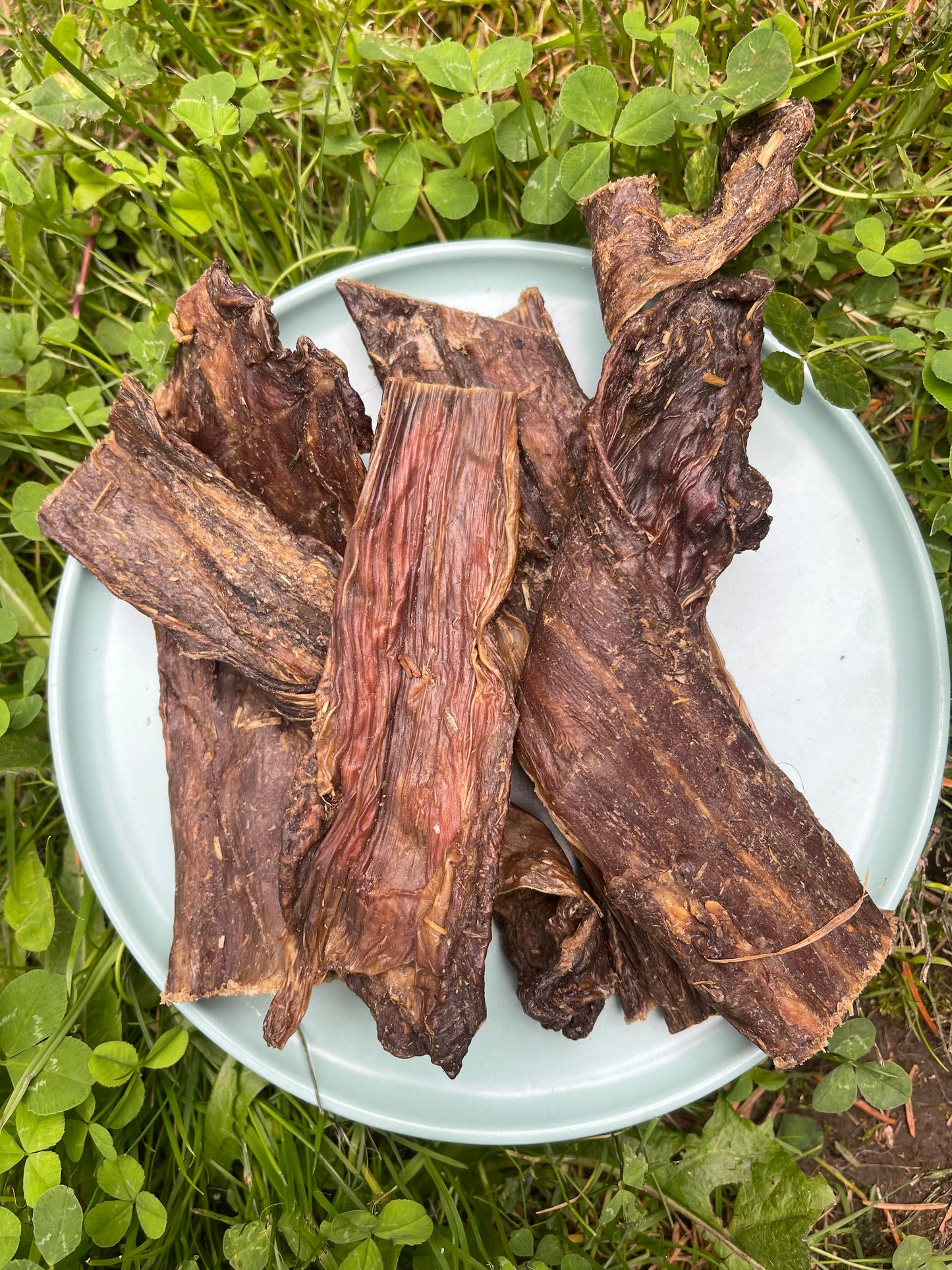 Crocodile Meat Chews (pack of 2)