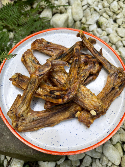 Duck Wings