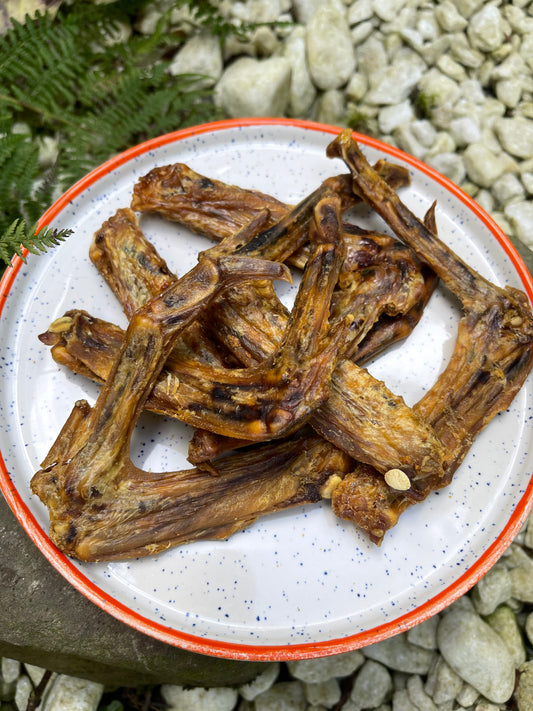 Duck Wings