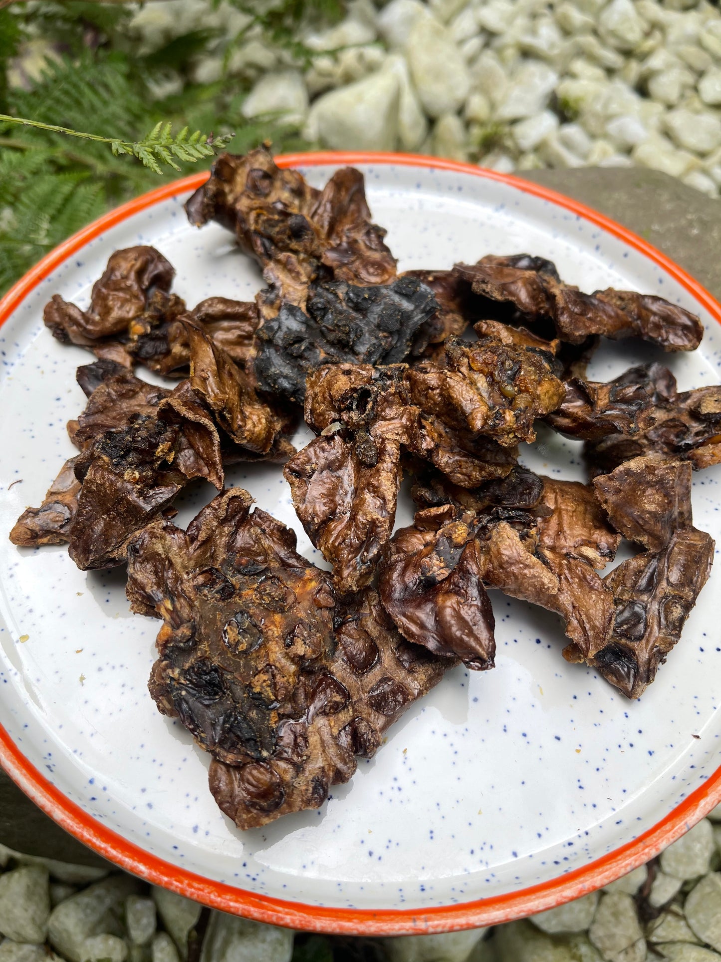 Rabbit Lung Bites