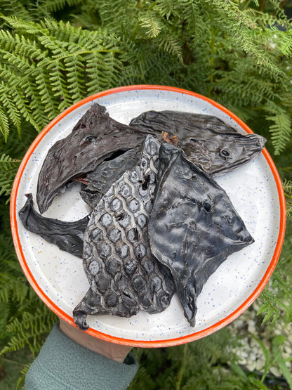 Dried Ostrich Liver