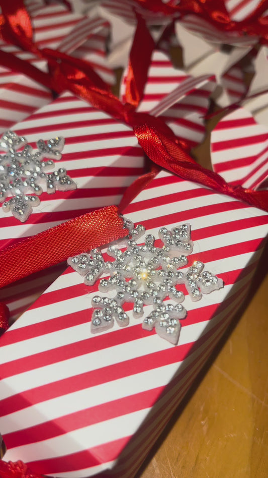 ✨ Crystal Paws Christmas Cracker ✨🎄